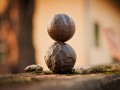 Forget the Idea of Balance